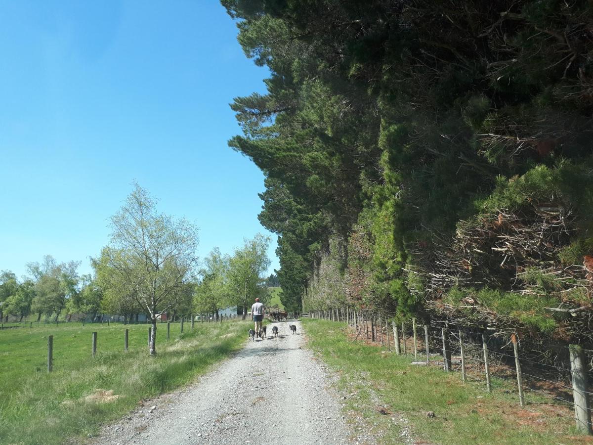 Te Anau Farm Cottage ภายนอก รูปภาพ
