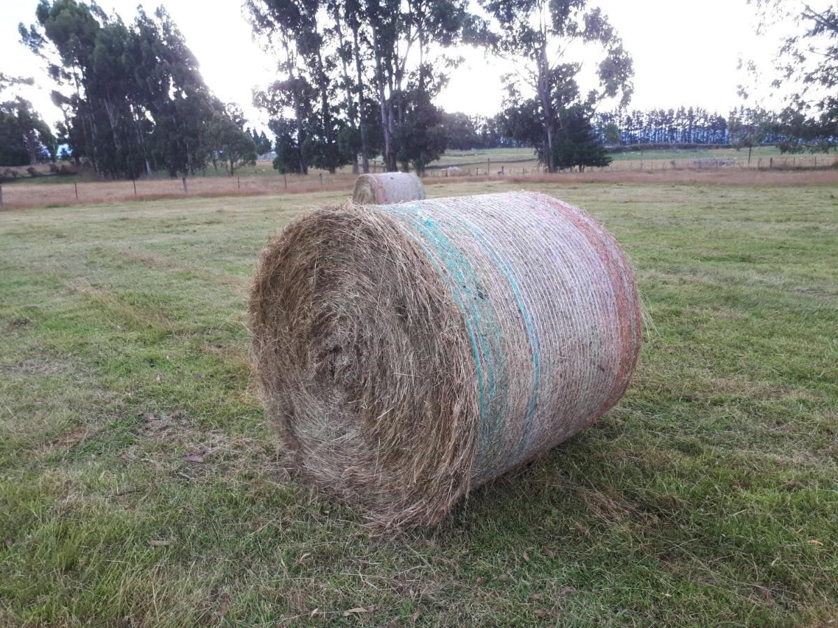 Te Anau Farm Cottage ภายนอก รูปภาพ